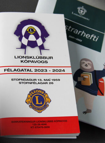 lesbækur
